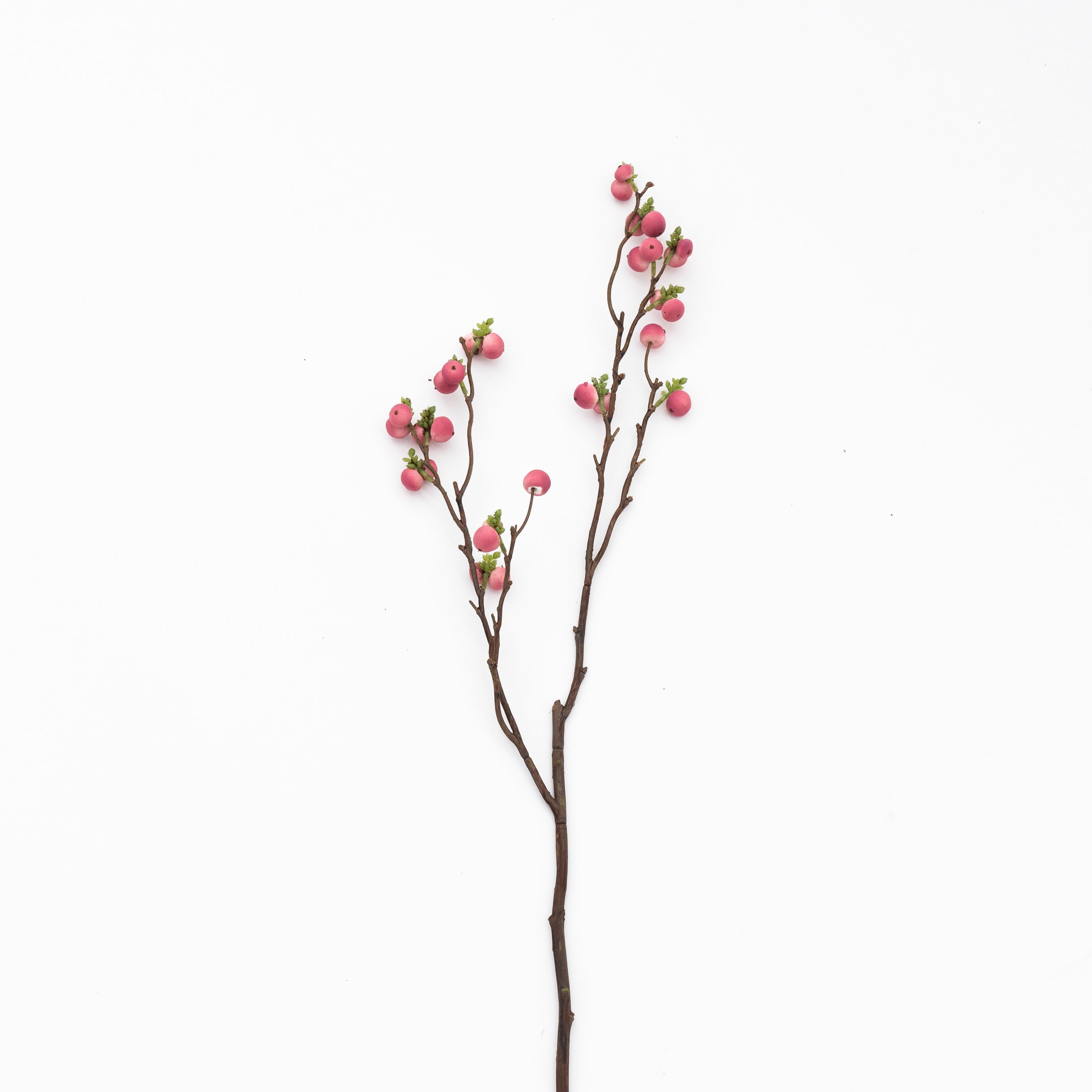 Artificial Plant - Cliantha Pink  - WS Living - UAE - Artificial Flowers Wood and steel Furnitures - Dubai