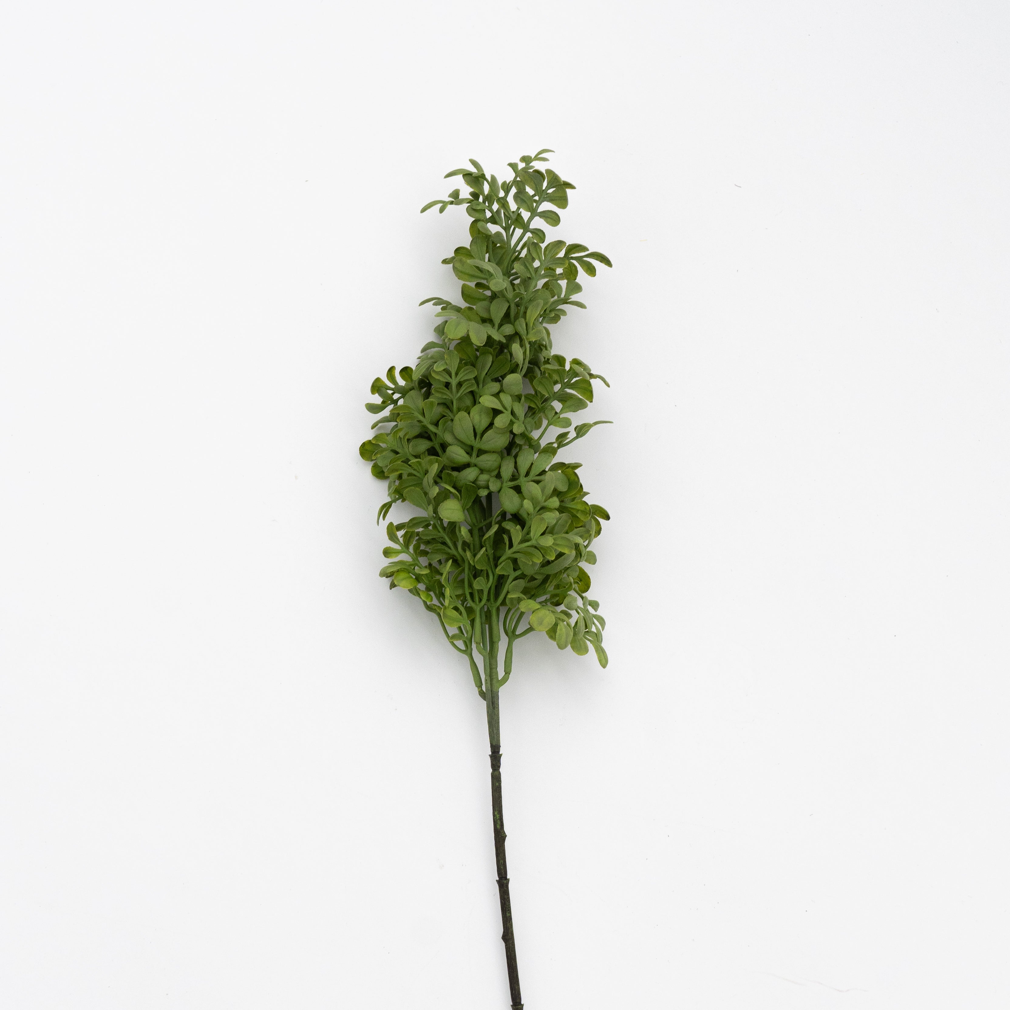 Artificial Plant - Common Rue  - WS Living - UAE - Artificial Flowers Wood and steel Furnitures - Dubai