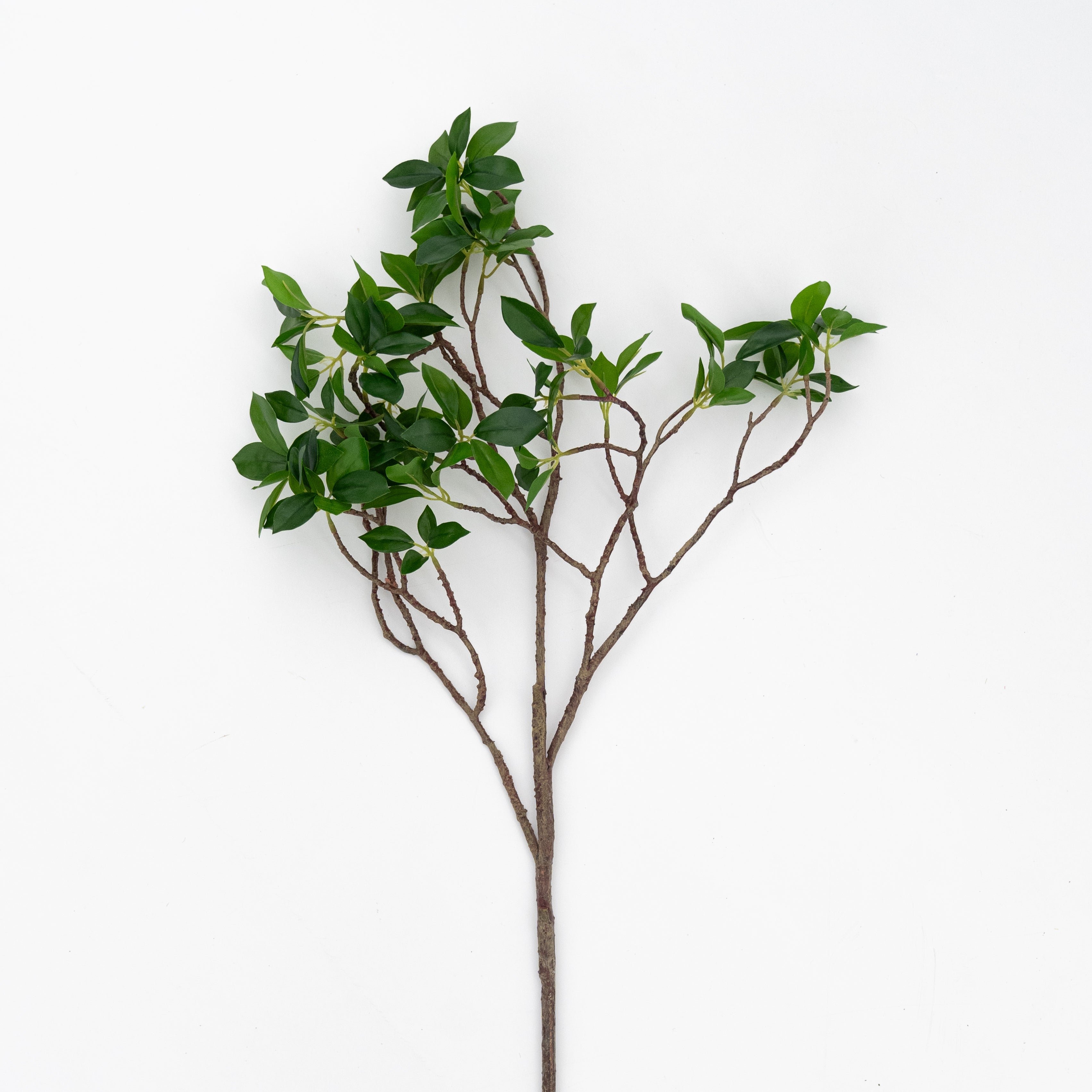 Artificial Plant - Eucalyptus  - WS Living - UAE - Artificial Flowers Wood and steel Furnitures - Dubai