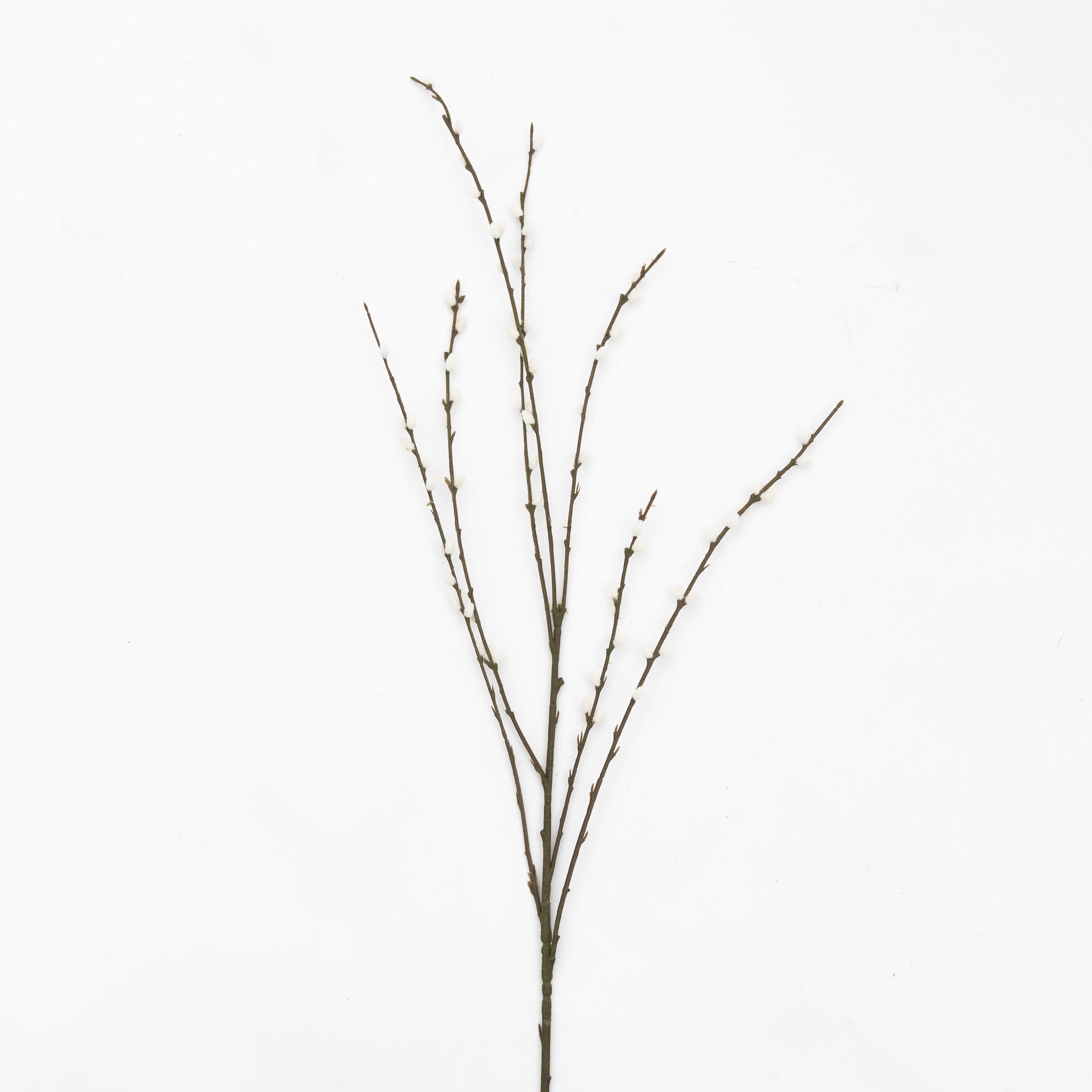 Goat Willow Artificial Flower ( White)  - WS Living - UAE - Artificial Flowers Wood and steel Furnitures - Dubai