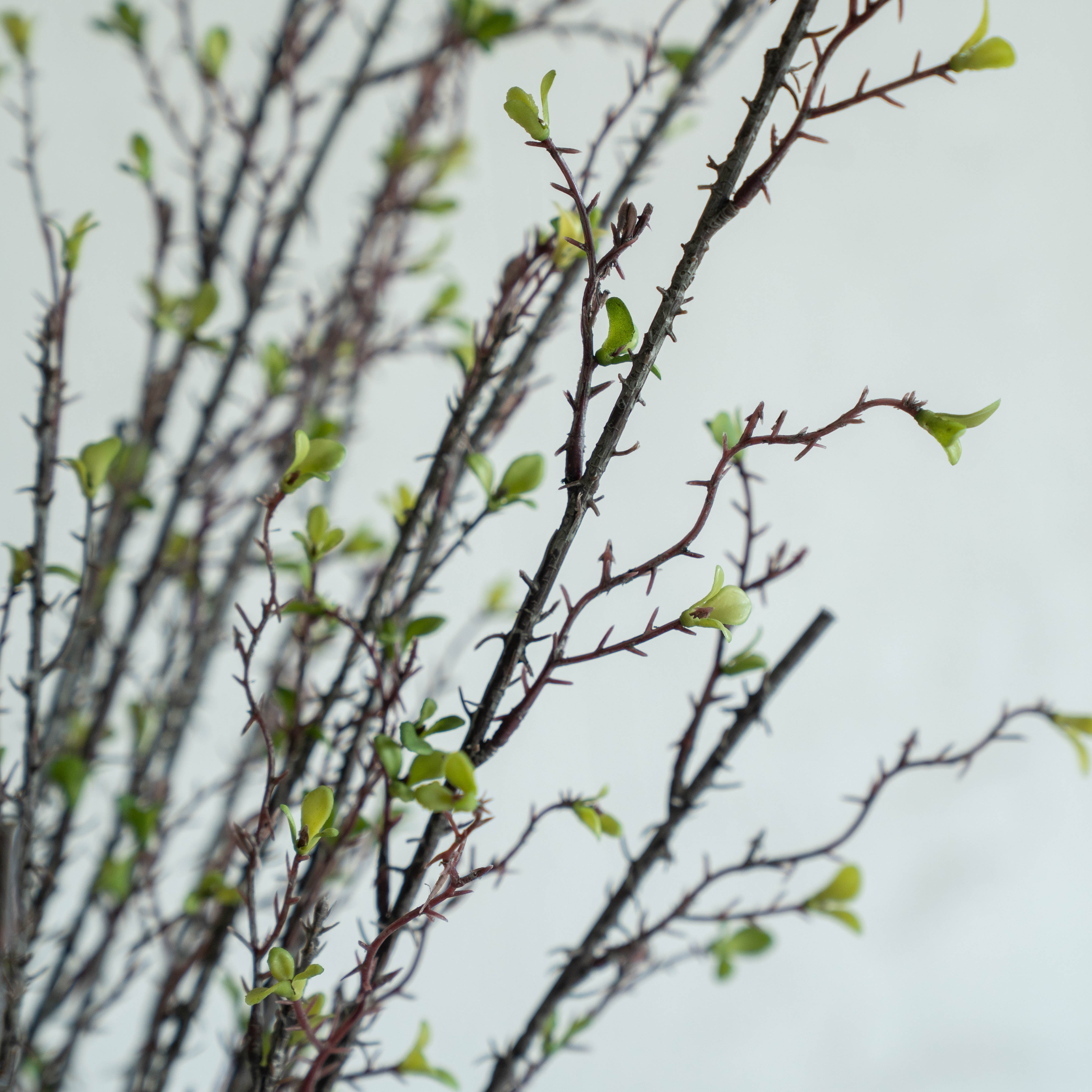 Artificial Plant - Angelonia