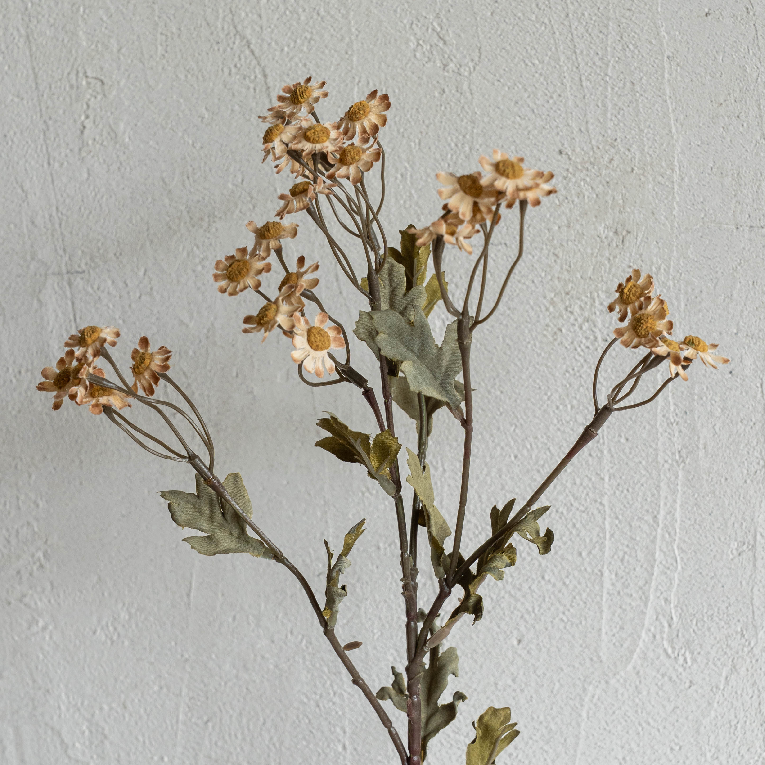 Anzac Artificial Flower (Shallow Coffee)