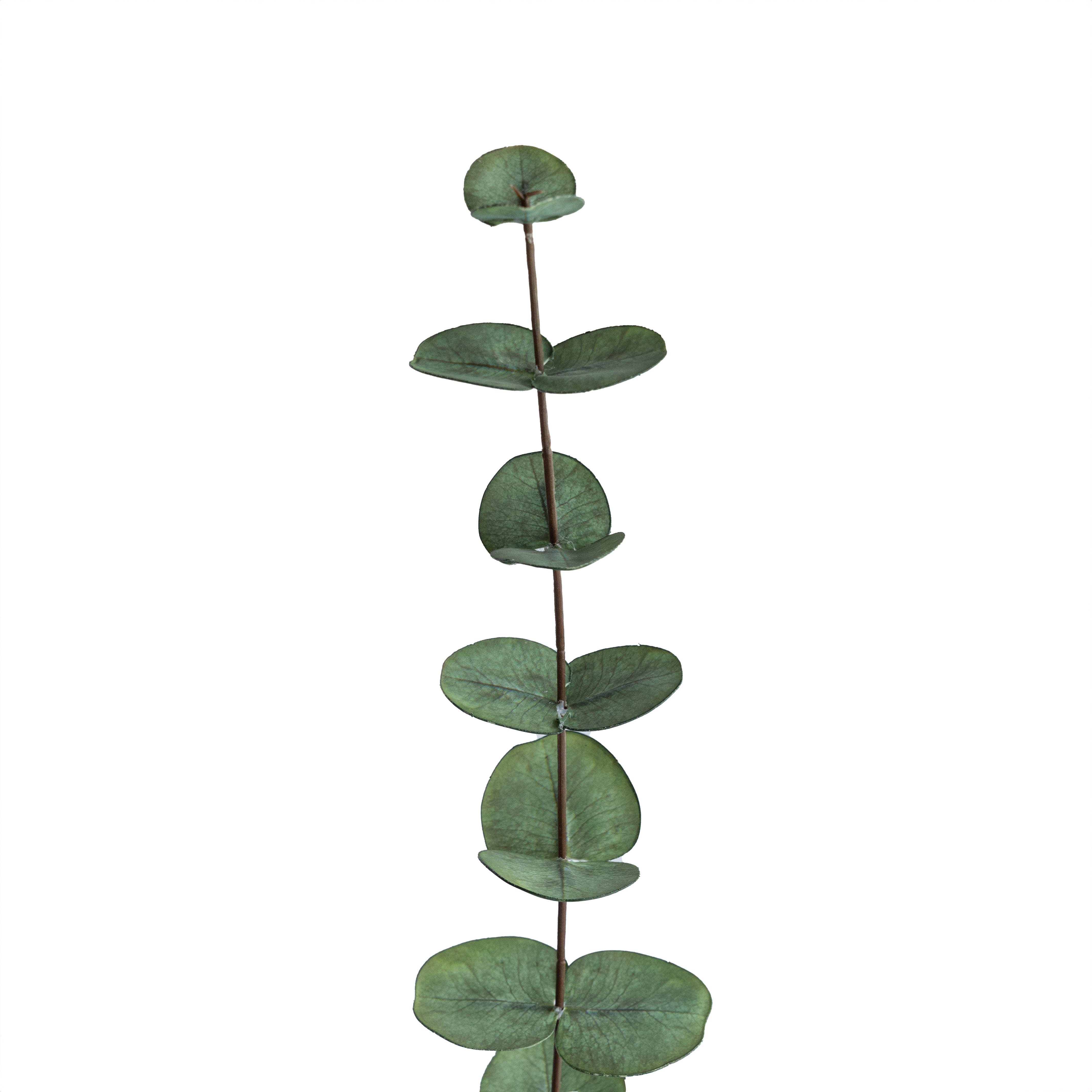 Eucalyptus Green Artificial Plant - Artificial Flowers - WS Living - UAE Wood and steel Furnitures Stores in Dubai