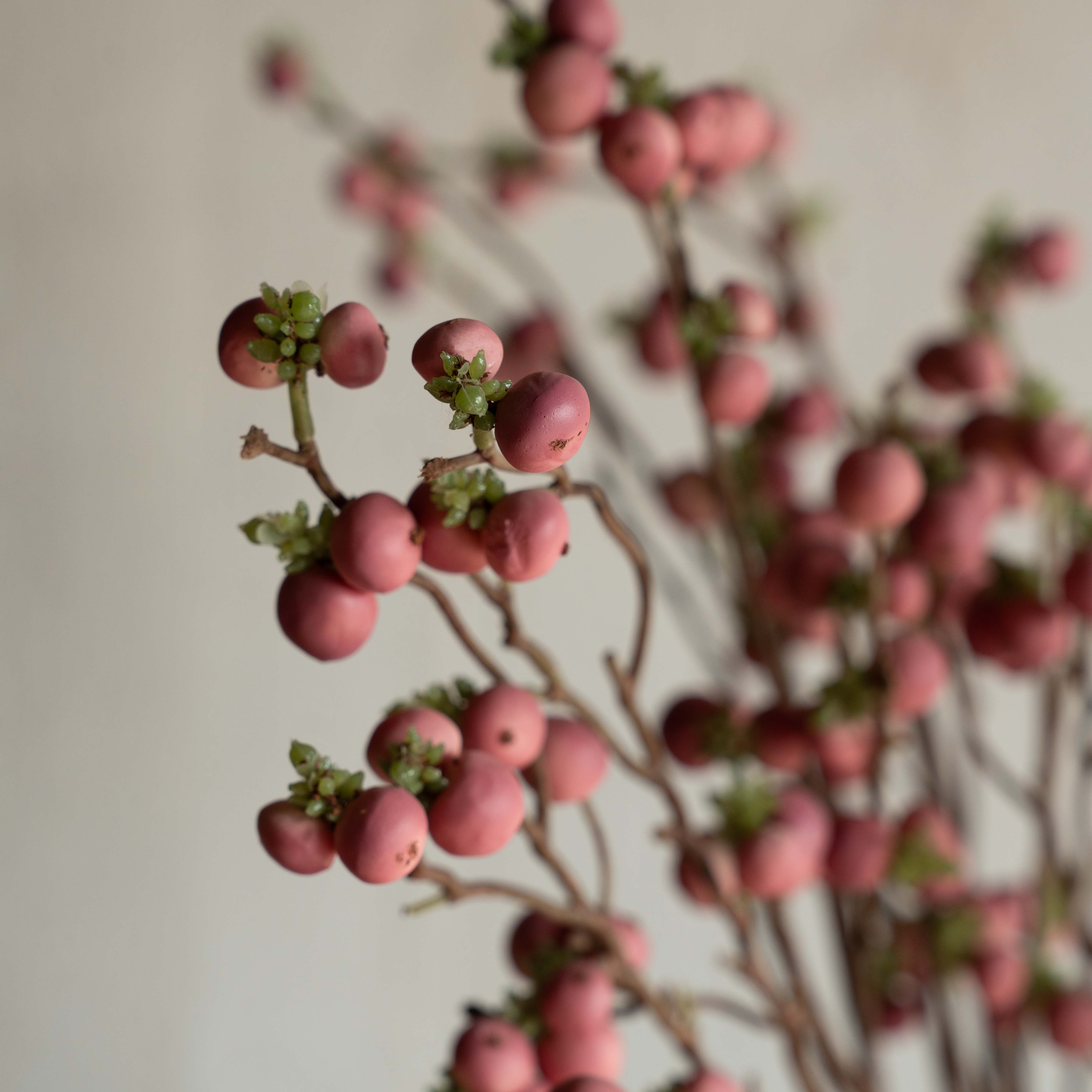 Artificial Plant - Cliantha Pink