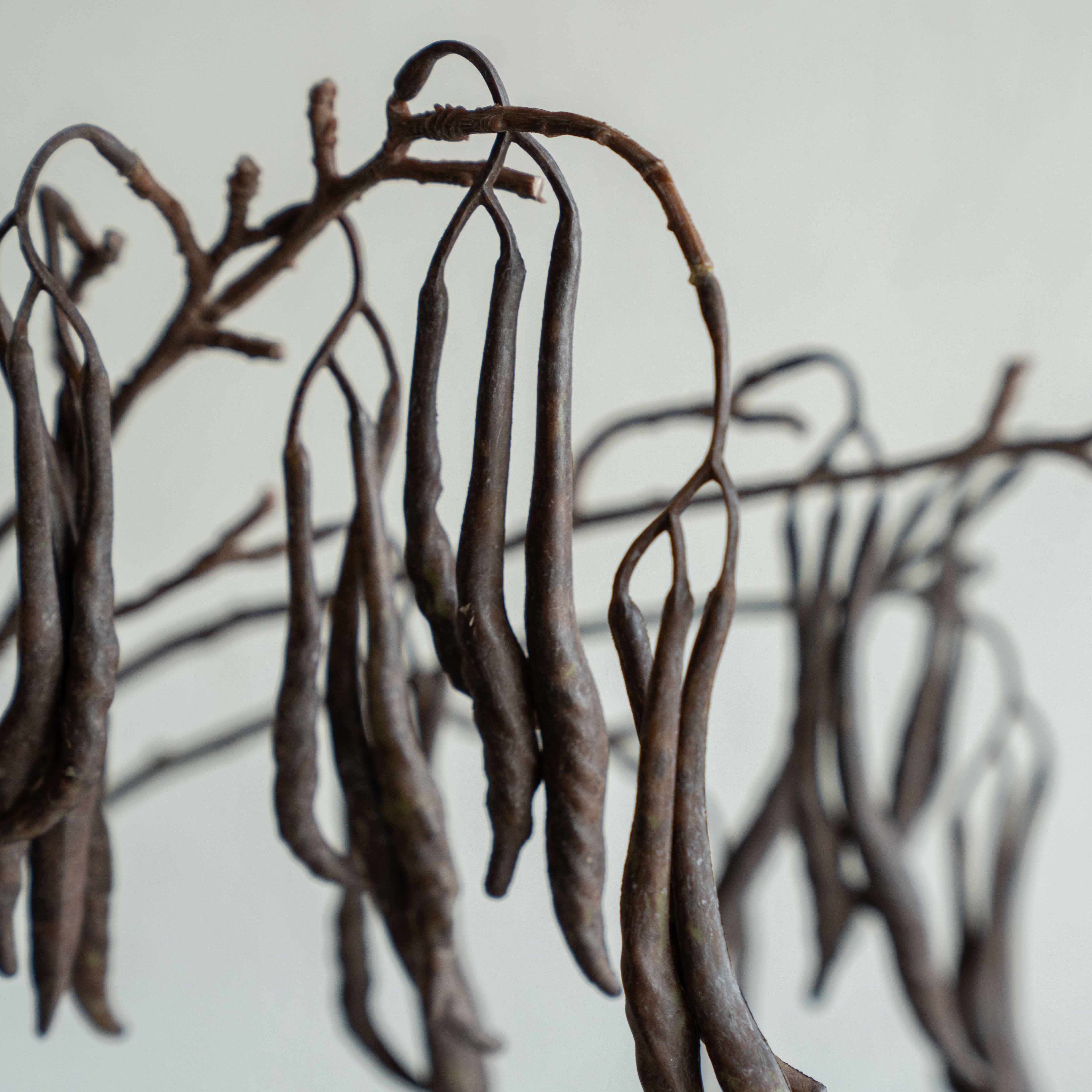 Artificial Plant - Carob Tree Stems