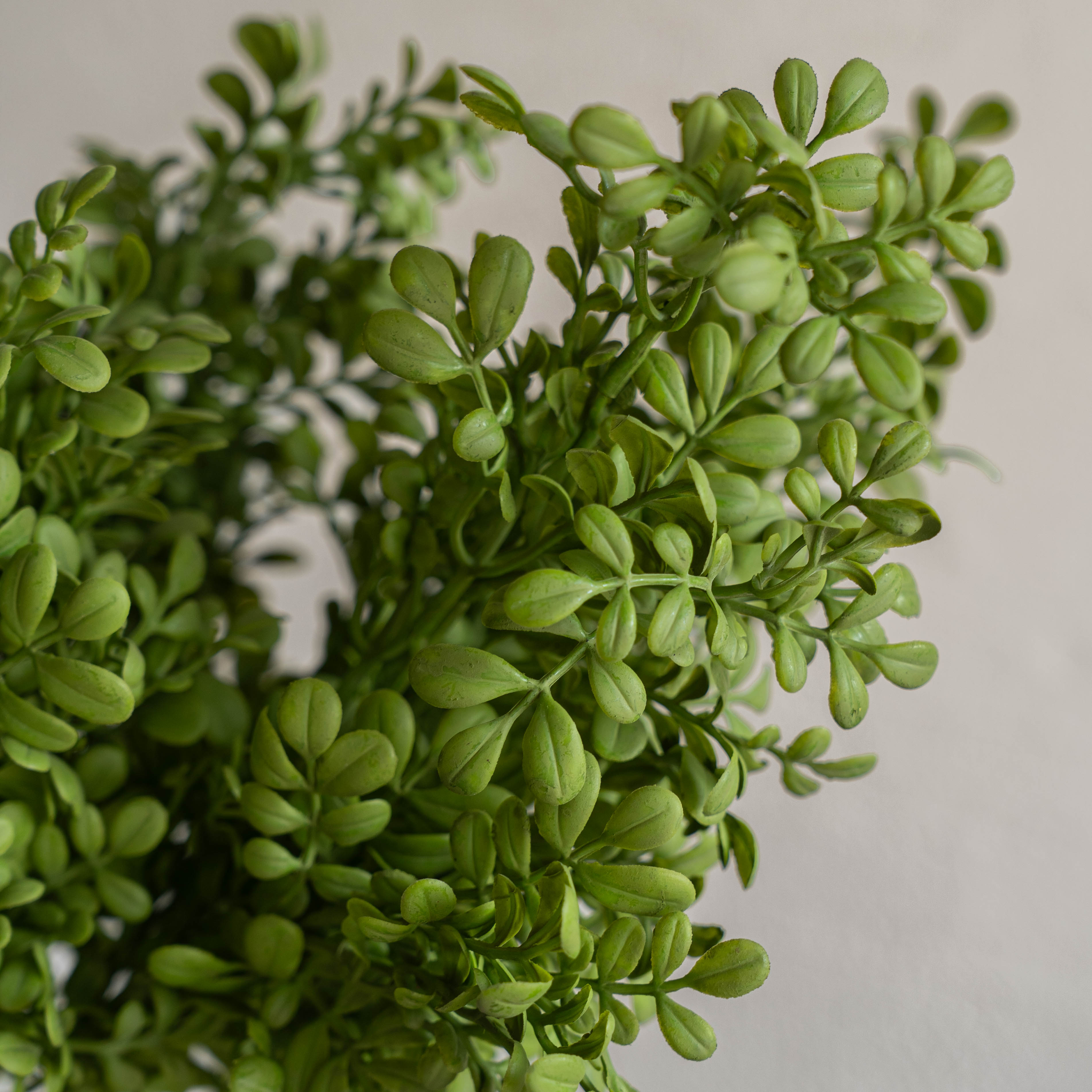 Artificial Plant - Common Rue - Artificial Flowers - WS Living Furniture  Furniture Store in Dubai