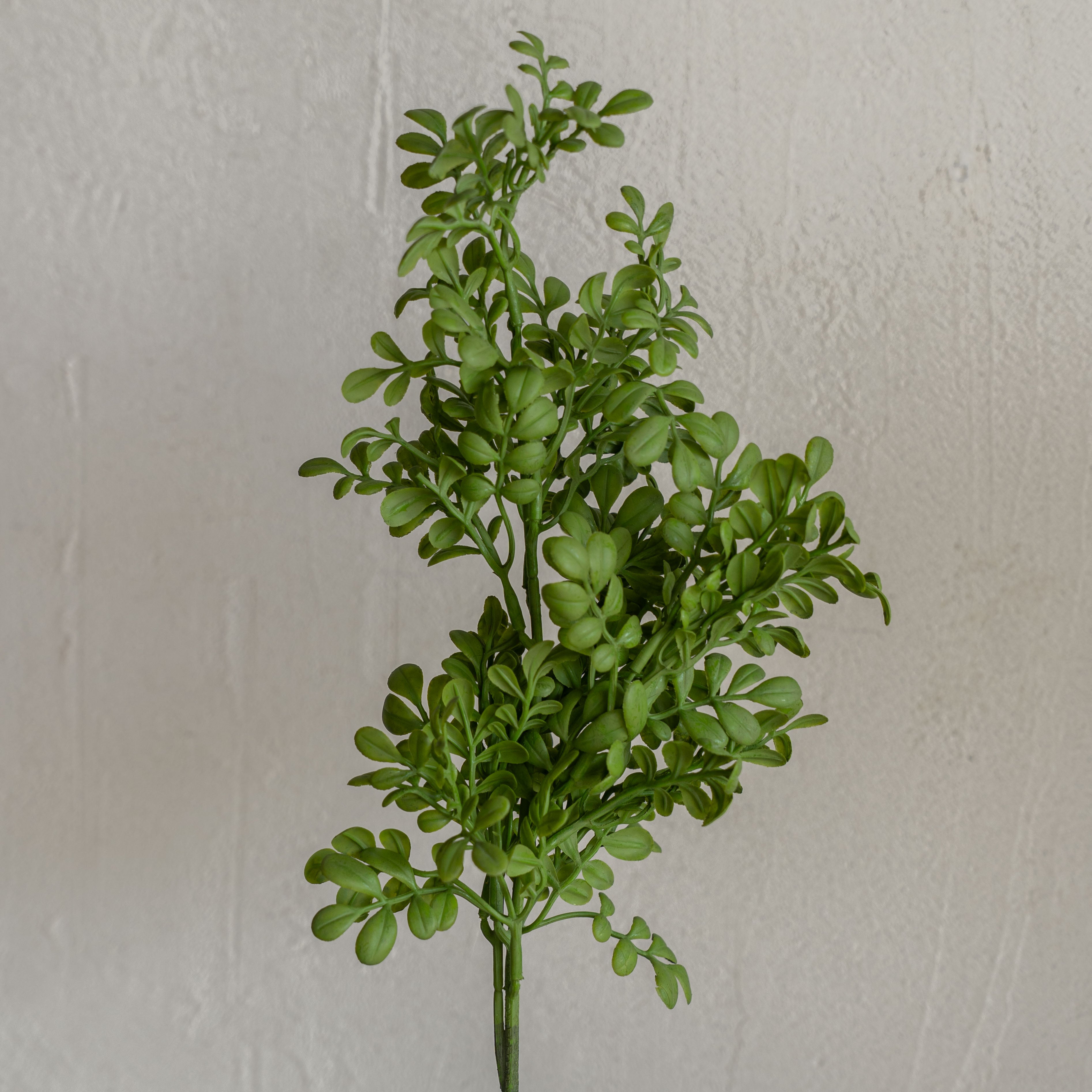 Artificial Plant - Common Rue - Artificial Flowers - WS Living Furniture  Furniture Store in Dubai