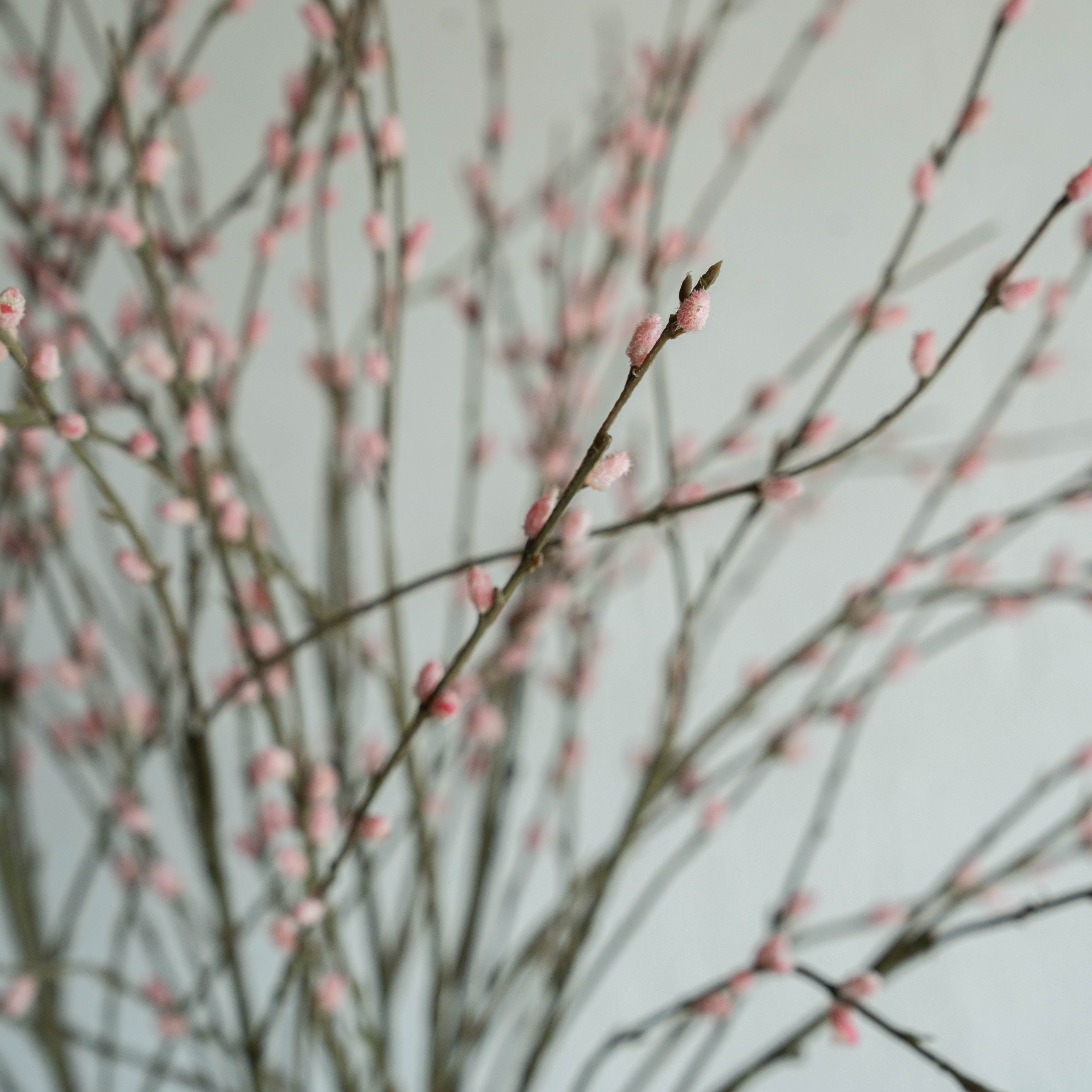 Goat Willow Artificial Flower (Pink) - Artificial Flowers - WS Living Furniture  Furniture Store in Dubai