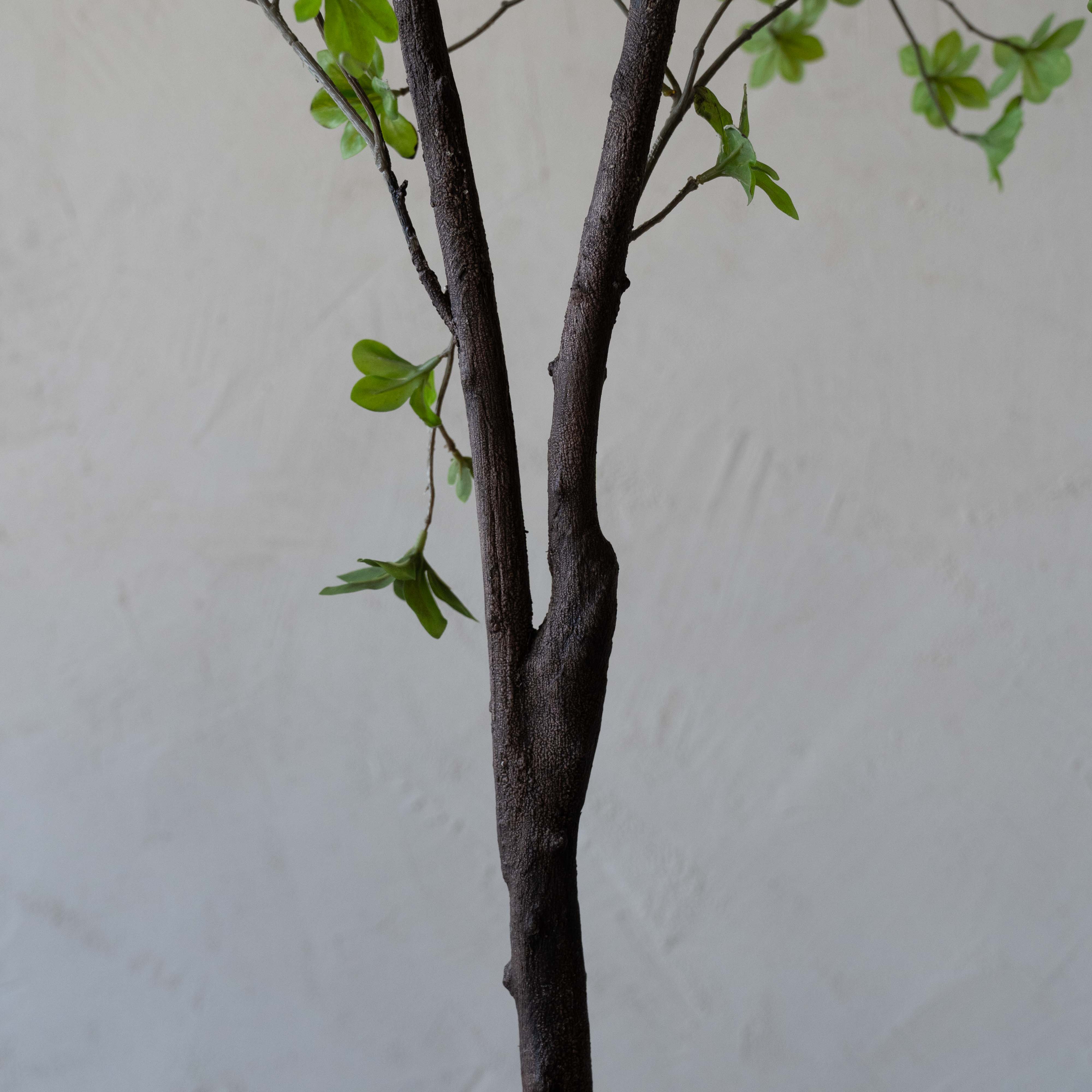 Happy Handmade Artificial Decorative Tree - Artificial Flowers - WS Living - UAE Modern Home Furniture Stores in Dubai