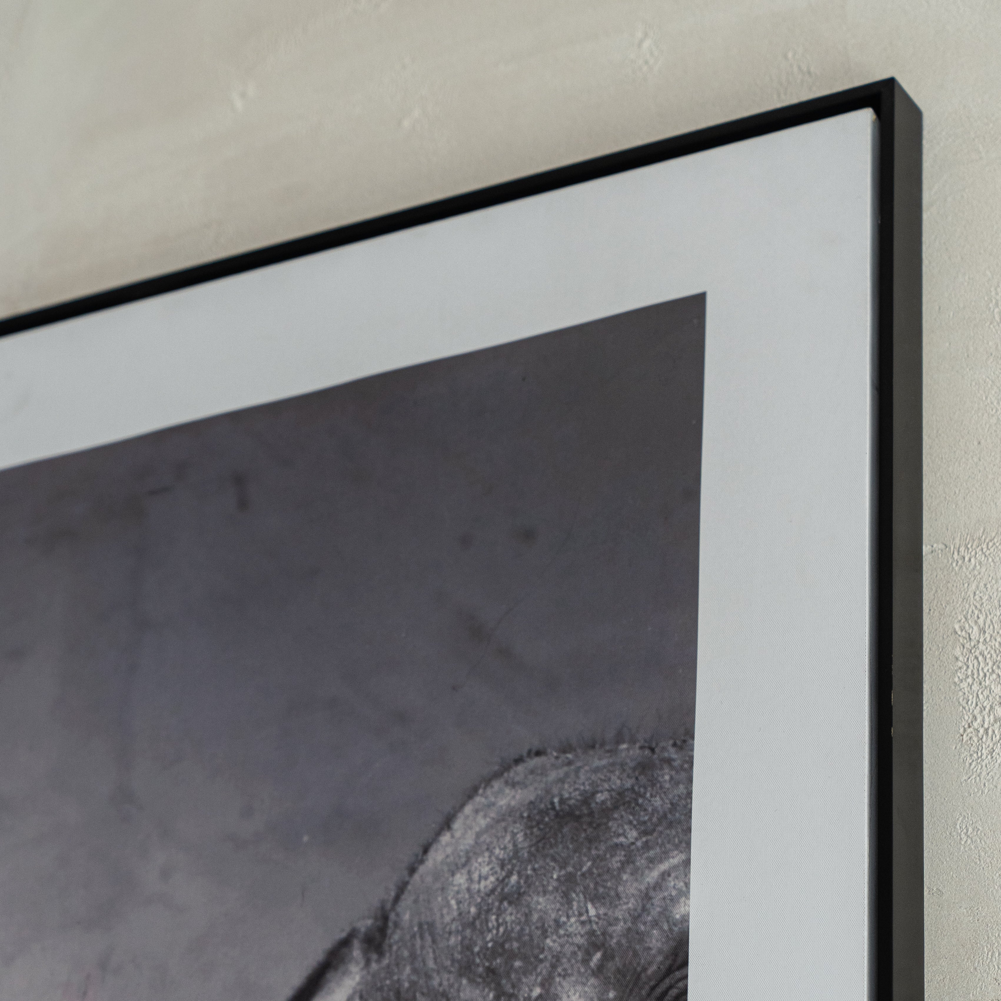 Jungle Queen Wall Art