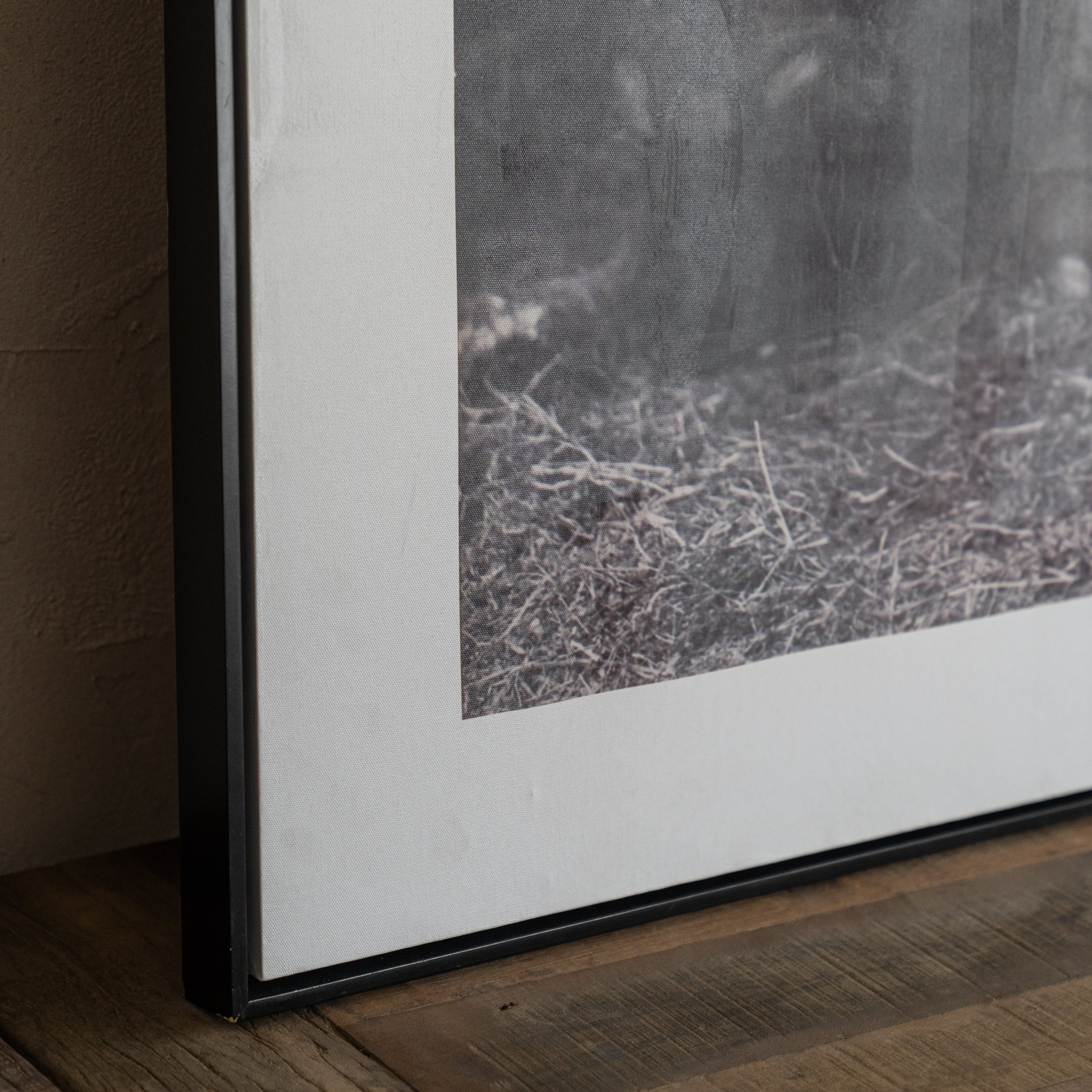 Jungle Queen Wall Art