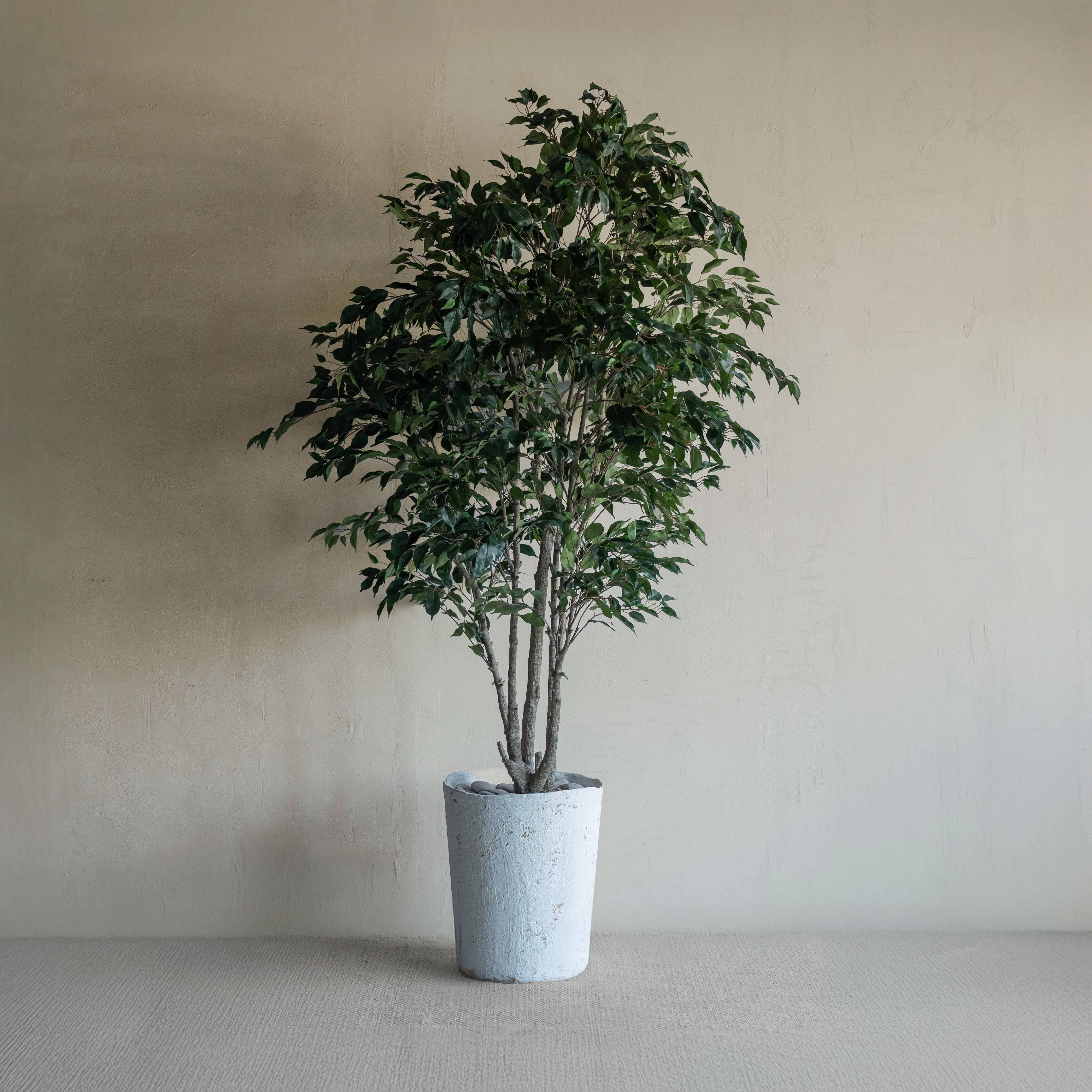 Ficus Handmade Decorative Artificial Tree - BIG - 250cm - Artificial Tree - WS Living Furniture  Furniture Store in Dubai