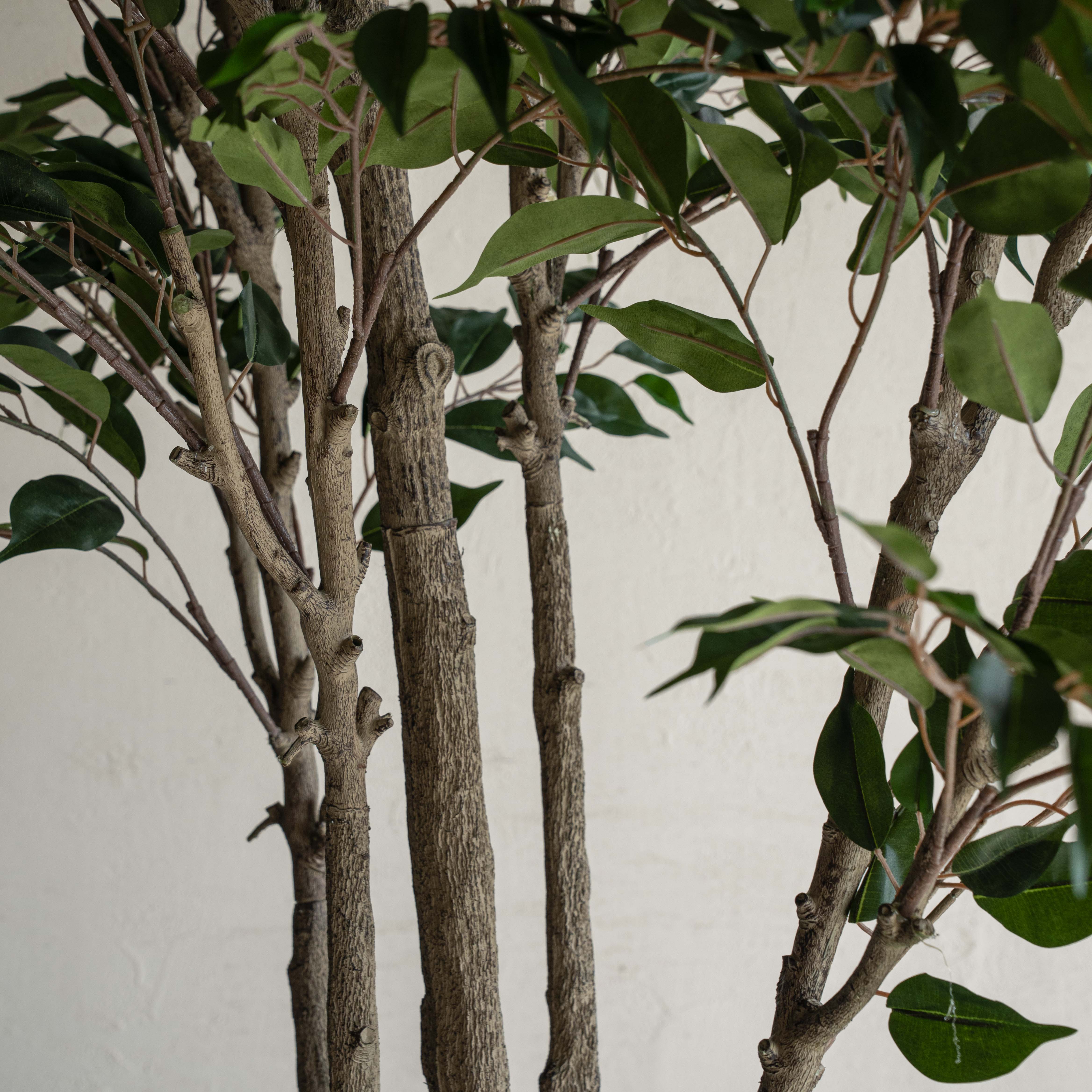 Ficus Handmade Decorative Artificial Tree - BIG - 250cm - Artificial Tree - WS Living Furniture  Furniture Store in Dubai