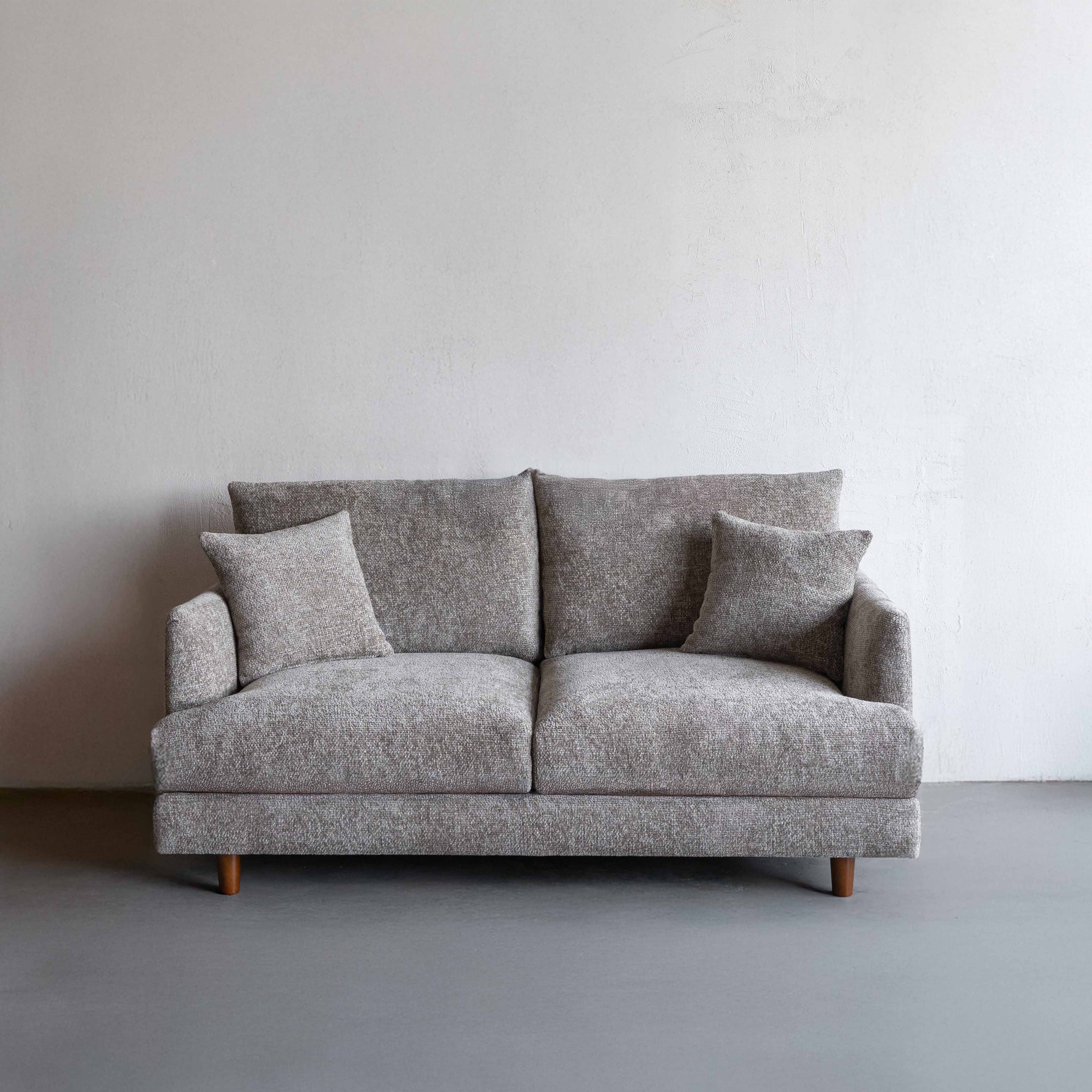 Gray sofa with cushions on a plain background