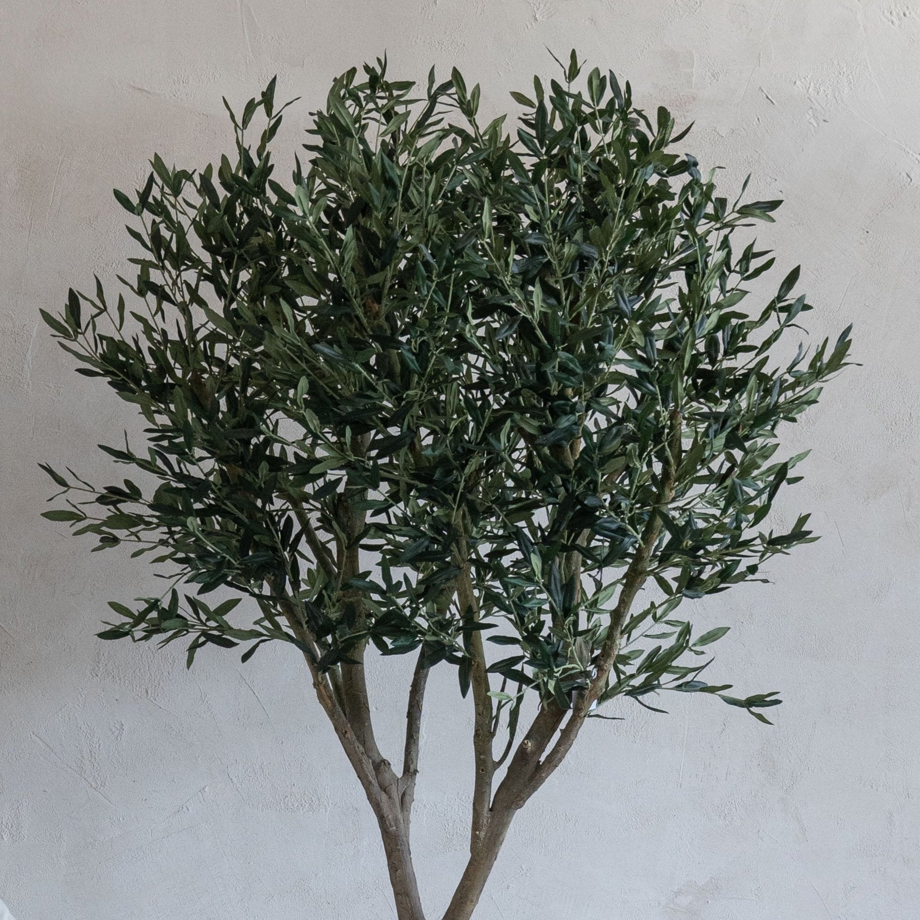 Handmade Decorative Artificial Olive Tree - Large - 681817 - Artificial Tree - WS Living - UAE Modern Home Furniture Stores in Dubai