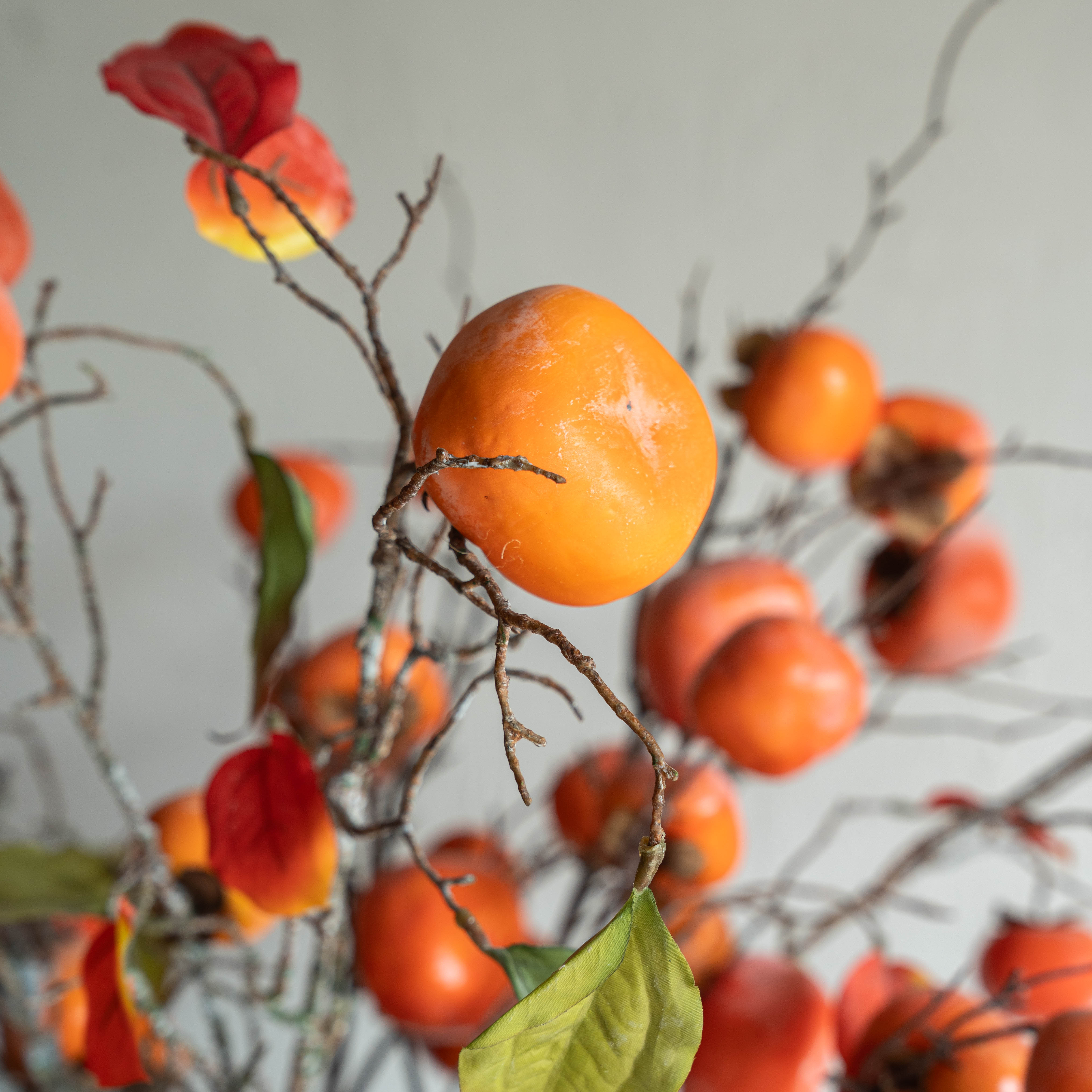 Artificial Plant - Persimmon