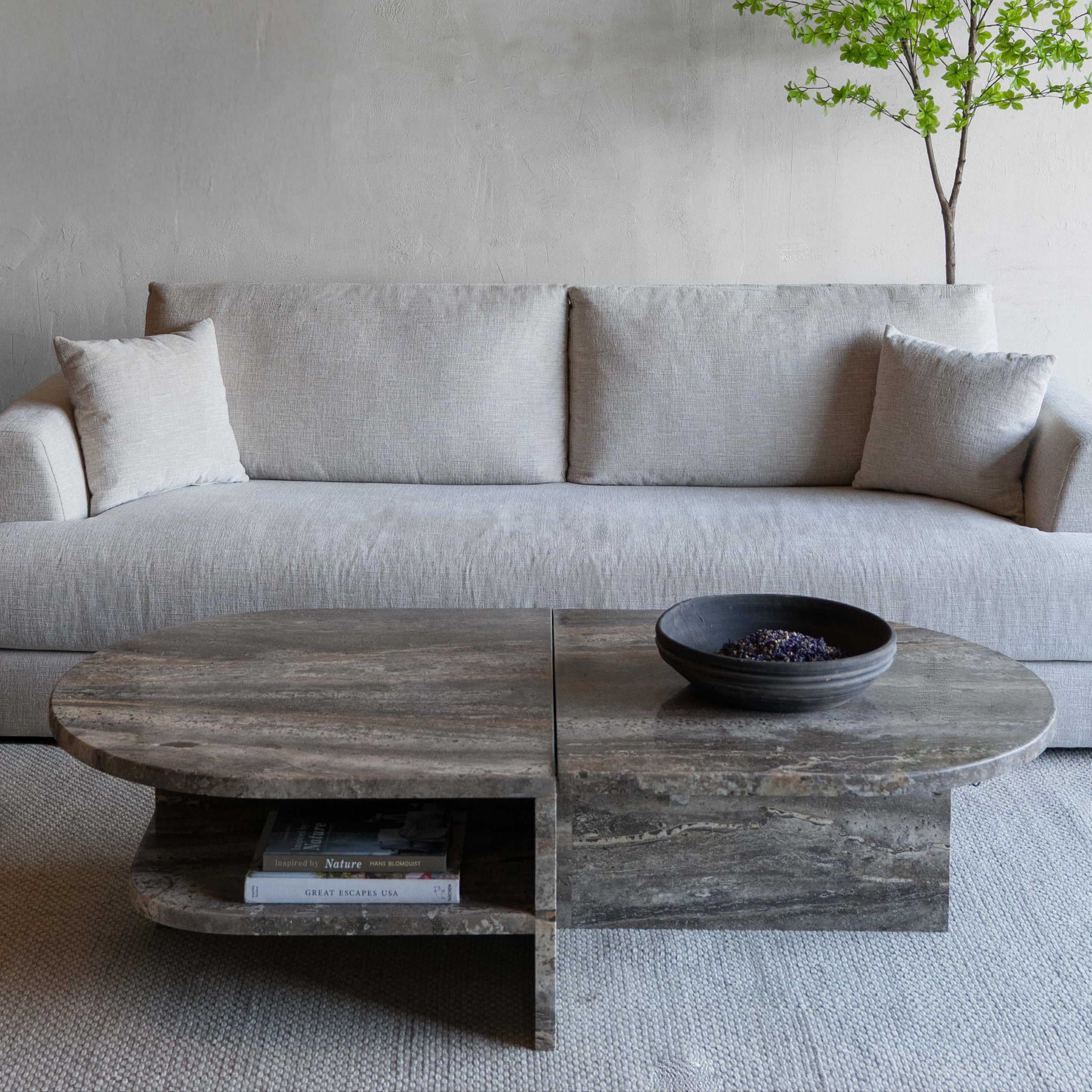 Gray sofa in a modern living room with a MARBLE coffee table and a plant.